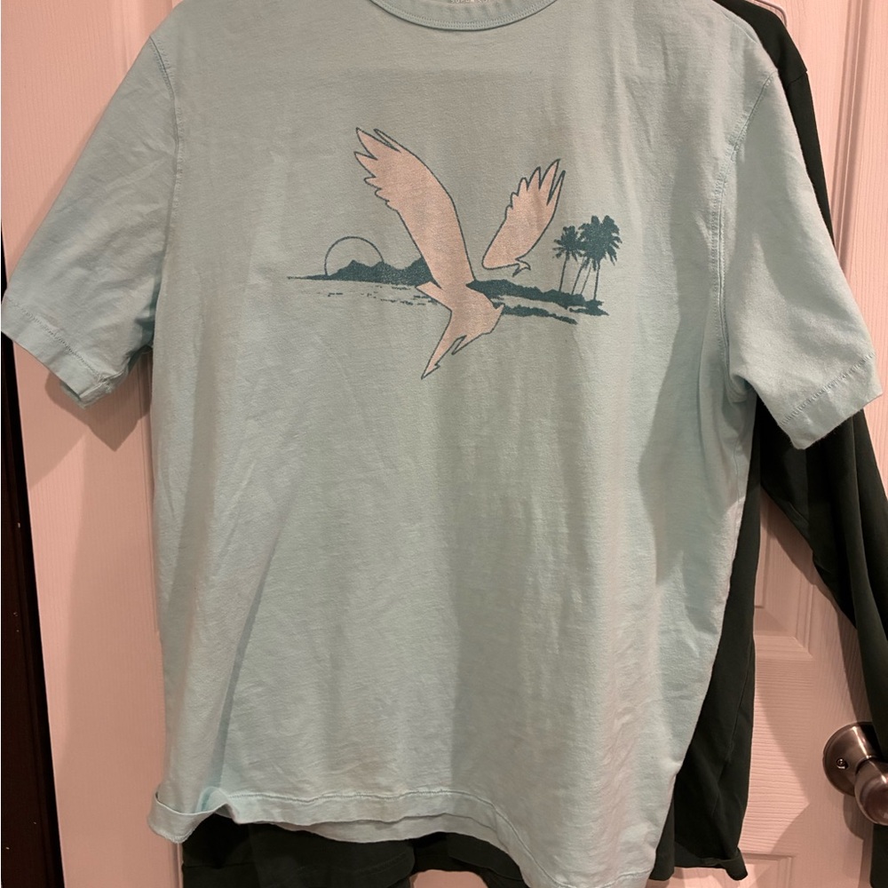 American Eagle Outfitters Blue Short Sleeve Tee